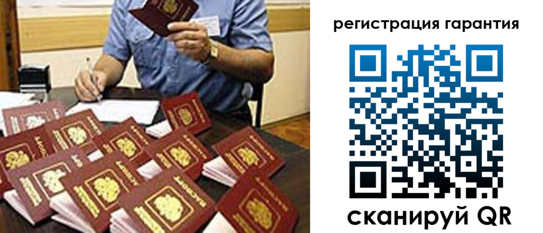 прописка в Светлогорске